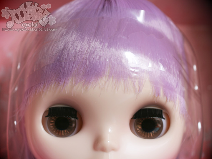 15_LavenderHugsBox.jpg