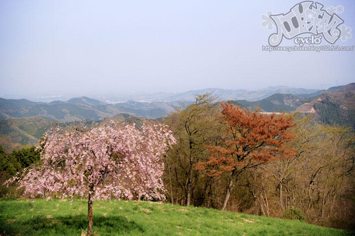 16_2013SpringSaitama.jpg