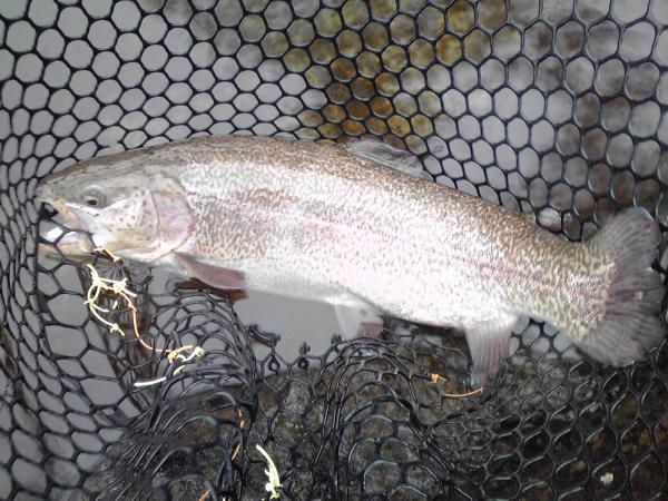 KC3I0150_convert_20120428192508.jpg