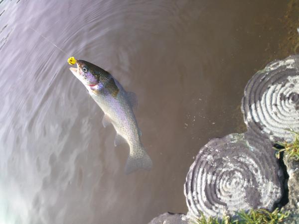 SN3R0031_convert_20120321002418.jpg