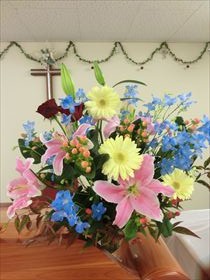 2013.12.1のお花
