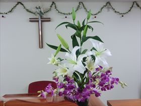 2013.12.8のお花
