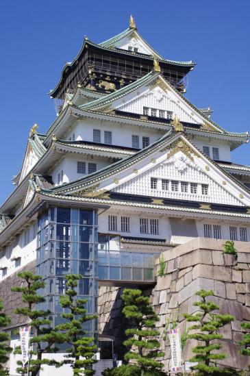 IMGP8550.jpg