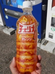 明野100