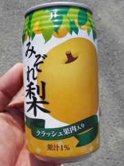 甲斐篠原5号100