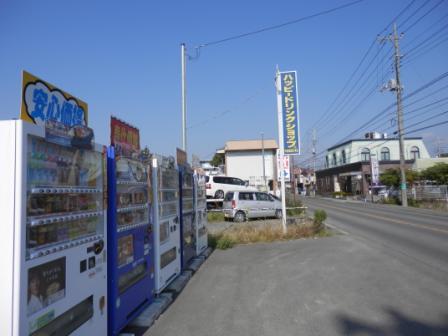 甲斐篠原5号h