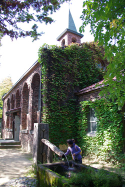 IMGP2906.jpg