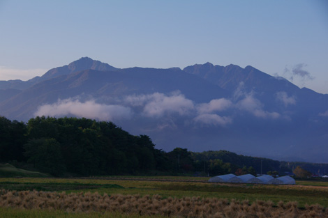IMGP2979.jpg
