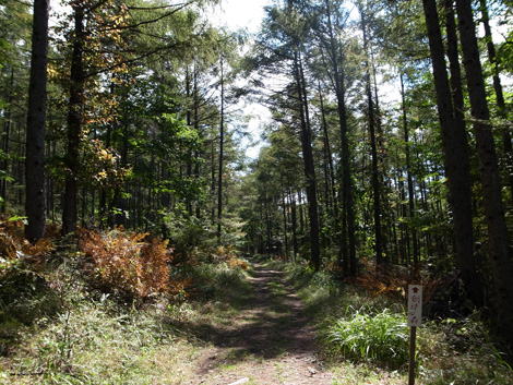 R0011975_trail.jpg
