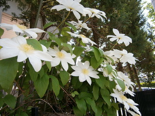 blog_import_52a8392e6474e.jpg