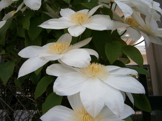 blog_import_52a8392f55745.jpg