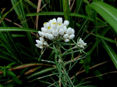 DSC08611_3.jpg