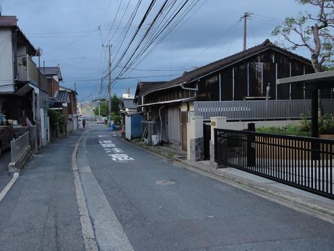 DSC08811_3.jpg