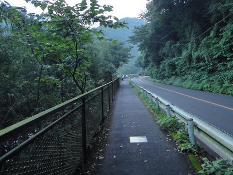 DSC08928_3.jpg