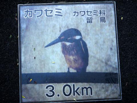 DSC08937_3.jpg