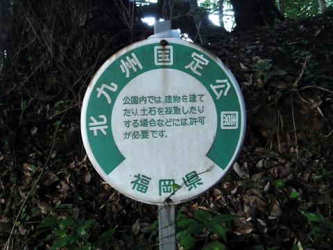 DSC08996_3.jpg