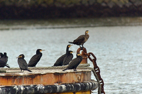 DSC_8316_3.jpg