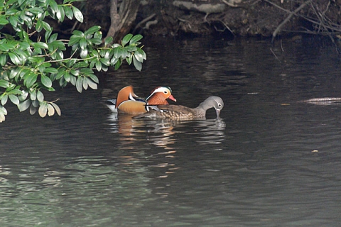 DSC_8734_3.jpg