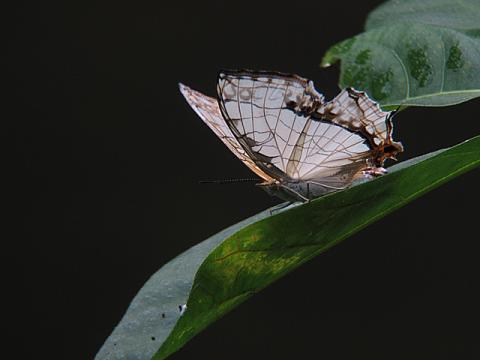 IMG_1887_3.jpg