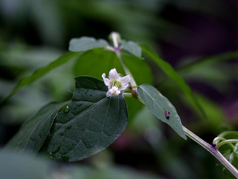 IMG_6143_3.jpg