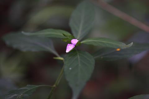 IMG_6230_3_20110829142844.jpg