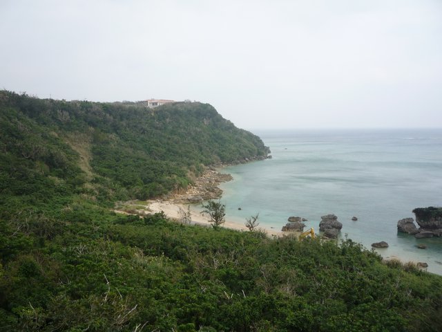 P1020504.jpg