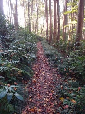 下ります