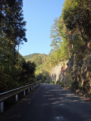 林道へ