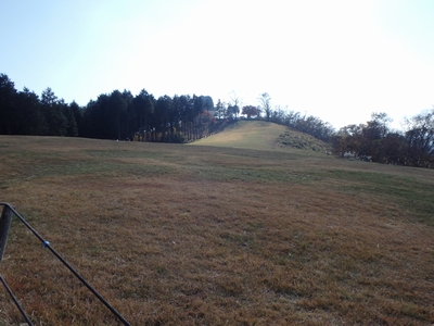 開けました!