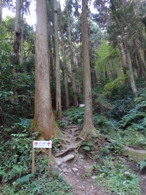 細い道になります