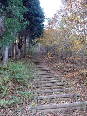 長ーい階段