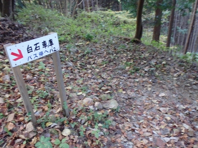 バス停へ向かいます