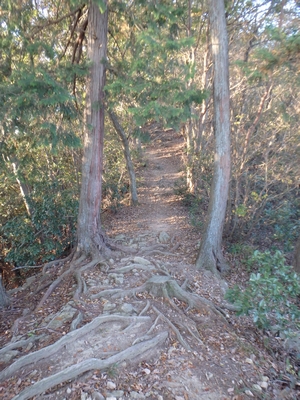 先へ進みます