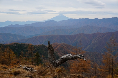素晴らしい景色