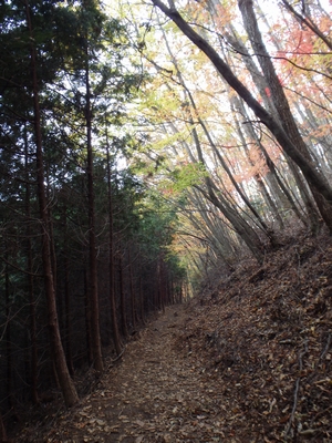 薄暗くなってきました