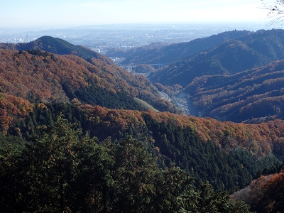 いい景色♪