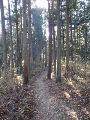 ひたすら下ります