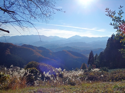 素敵な景色