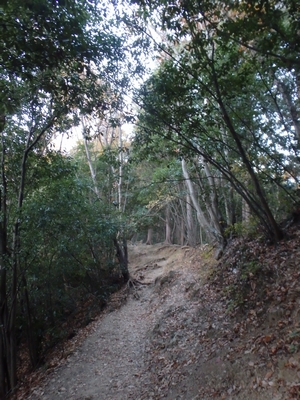 登ります
