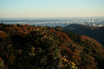 クリアーな景色