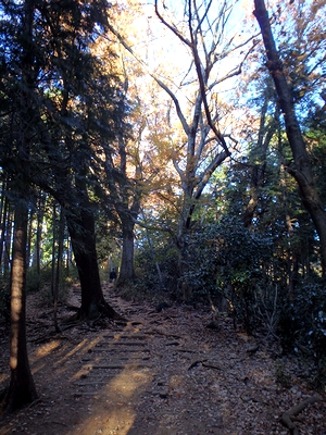 どんどん登ります