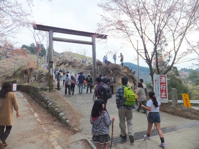 2013-04-140054.jpg