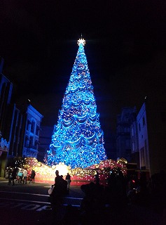 IMG04510.jpg
