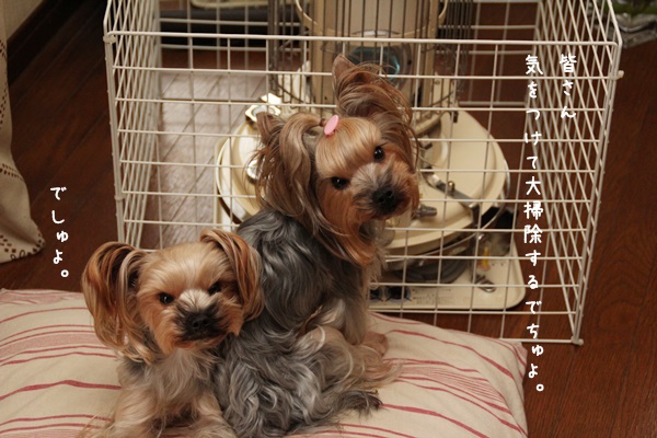 toshi131220-06.jpg