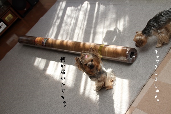 toshi131222-02.jpg