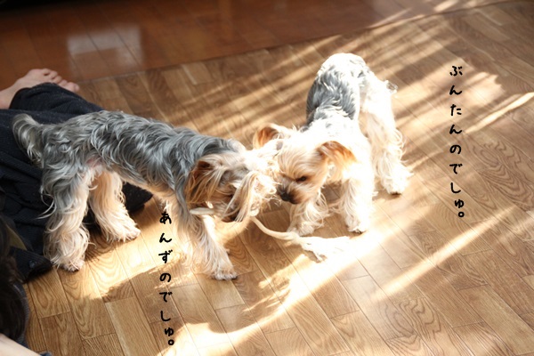 toshi131222-04.jpg