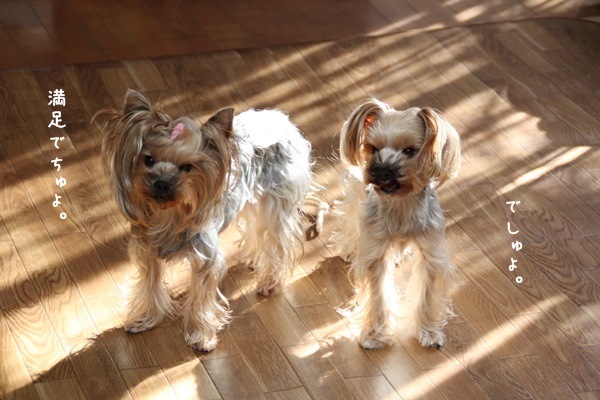 toshi131222-06.jpg