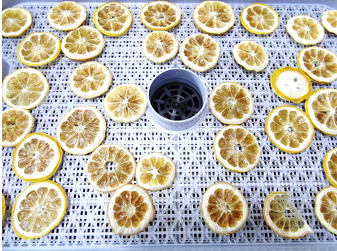 スライス ドライレモンの作り方 食品乾燥機 野菜乾燥機 家庭用乾燥機のラボネクト株式会社