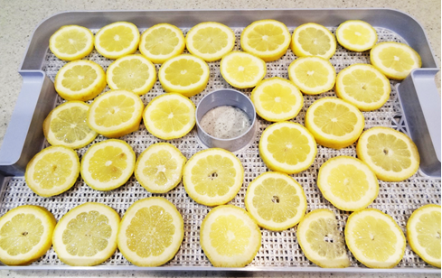スライス ドライレモンの作り方 食品乾燥機 野菜乾燥機 家庭用乾燥機のラボネクト株式会社