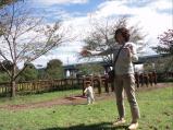 DSC05444.jpg